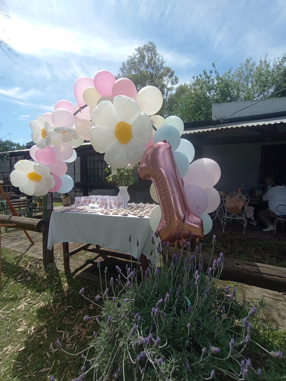 WhatsApp Image 2025-10-11 at 18.59.01.jpeg